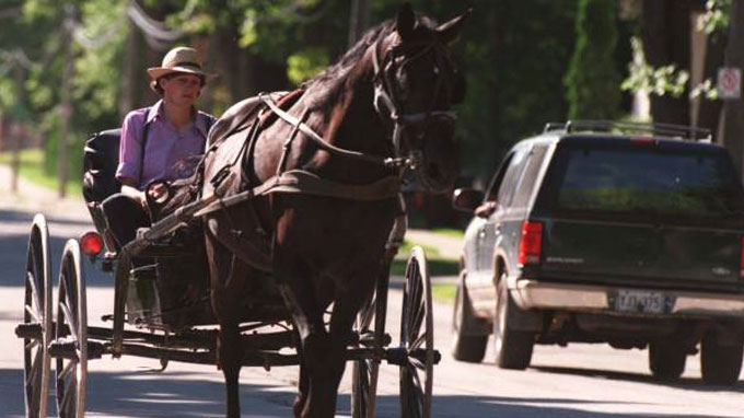 Amish children are strangely immune to asthma and it comes down to their adherence to old ways