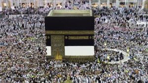 Hajj 2016: Millions of Muslims start arriving in Mecca