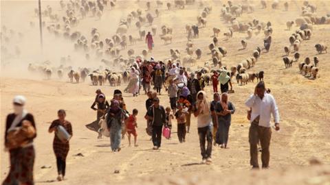 Dozens of Yazidi ‘slaves’ rescued by Iraqi troops