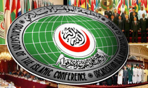 OIC slams Israeli attack on UN convoy to Gaza City