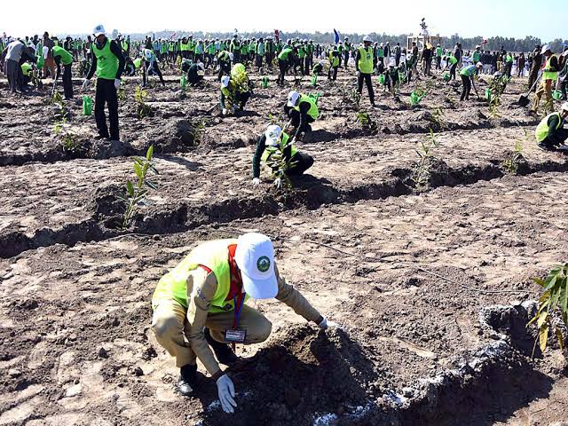 Tree Plantation Drive Launches in Islamabad to Grow 4 Million Trees